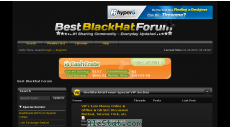 bestblackhatforum.com