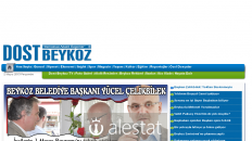 dostbeykoz.com