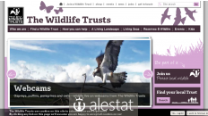 wildlifetrusts.org