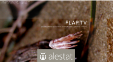 flap.tv