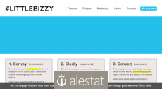 littlebizzy.com
