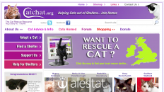 catchat.org