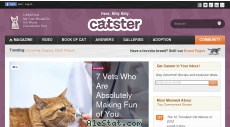 catster.com