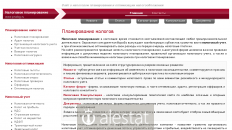 pnalog.ru