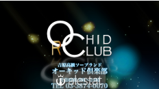orchid-club.com
