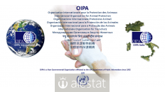 oipa.org