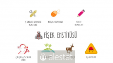fisek.com.tr