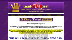 lead-king.net