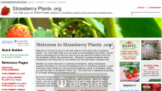 strawberryplants.org