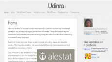 udinra.com