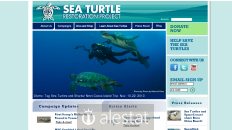 seaturtles.org